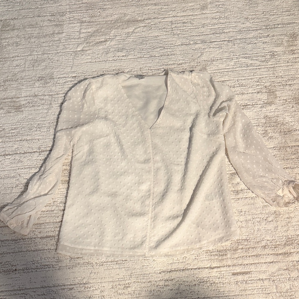 J.Crew V Neck Blouse